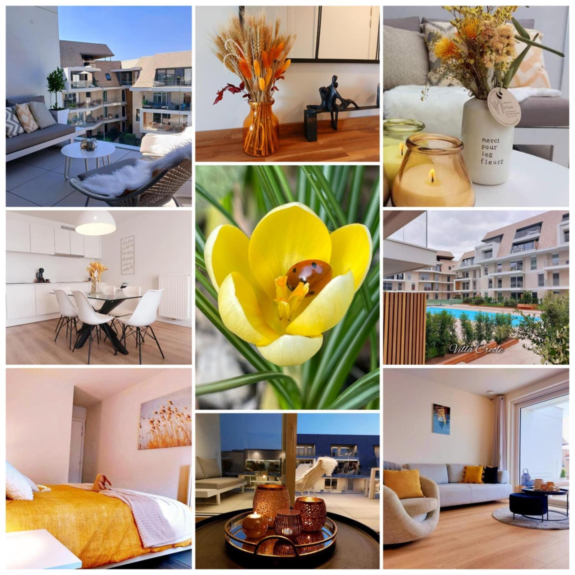 Villa Creole 0308 Luxe Appartement Met Verwarmd Zwembad Nieuwpoort Jachthaven Экстерьер фото
